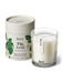 Cream Fig Leaf candle by Aery displayed next to product packaging on white background 