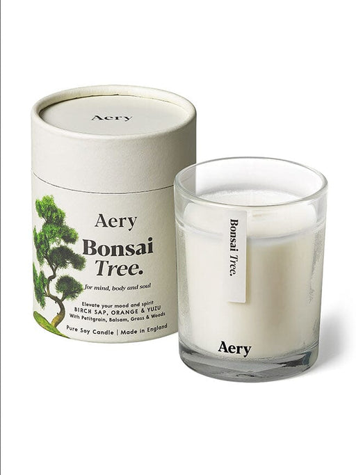 Cream Bonsai Tree candle by Aery displayed next to product packaging on white background 