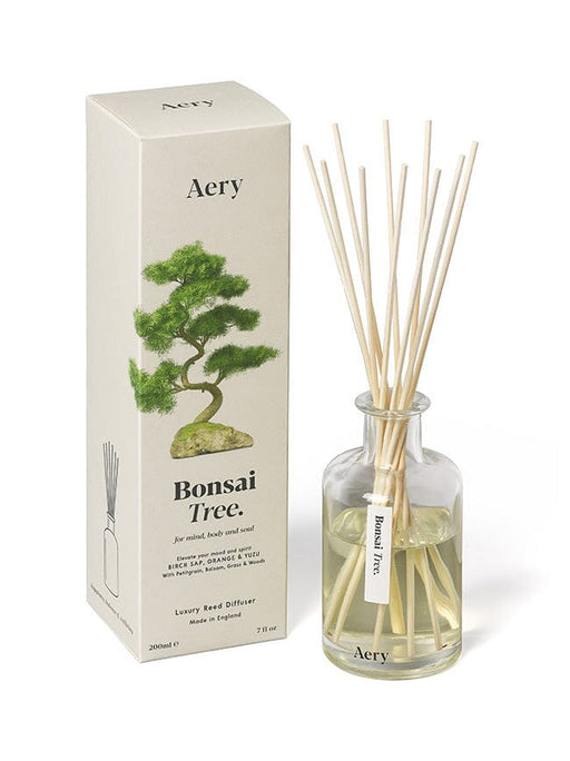 Bonsai Tree Reed Diffuser - Birch Sap Orange and Yuzu Botanical Aery Wholesale 