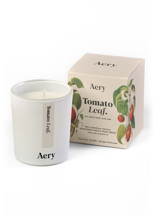 Tomato Leaf Votive Candle 70g Aery Wholesale 