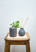 Black Indian Sandalwood diffuser by aery displayed next to Black Indian sandalwood candle placed on wooden stall 