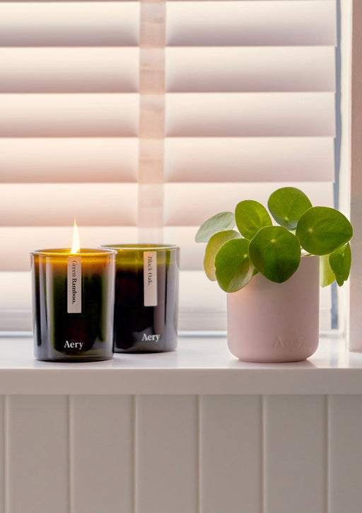 Green Bamboo candle by aery displayed next to black oak candle and pink aery plant pot sat on white window seal 